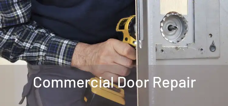  Commercial Door Repair 